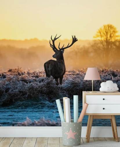 Red Deer Sunrise seinämaalaus Taustakuva