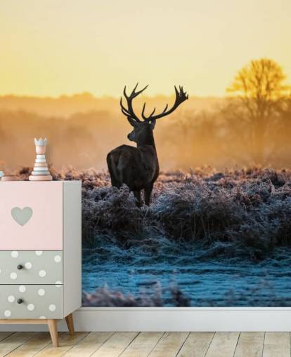 Red Deer Sunrise Wall Mural Wallpaper