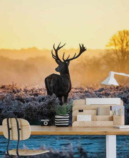 Red Deer Sunrise Wall Mural Wallpaper