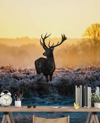 Red Deer Sunrise Wall Mural Wallpaper Red Deer Sunrise Wall Mural Wallpaper