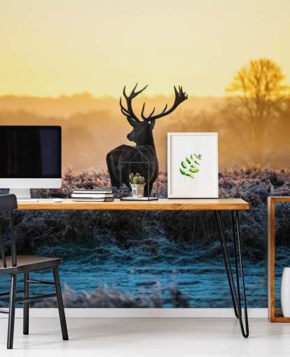 Red Deer Solopgang Vægmaleri Baggrund Red Deer Solopgang Vægmaleri Baggrund