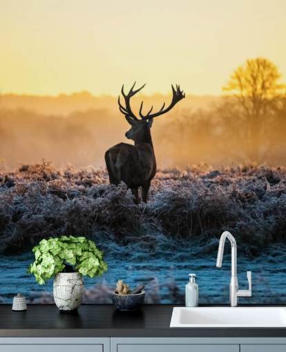 Red Deer Solopgang Vægmaleri Baggrund