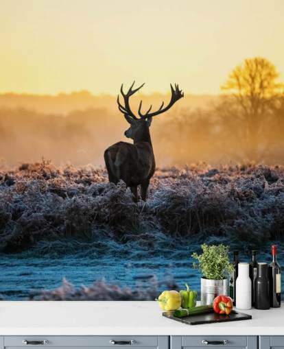Red Deer Sunrise Wall Mural Wallpaper