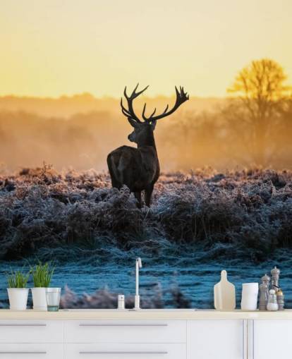 Red Deer Sunrise seinämaalaus Taustakuva