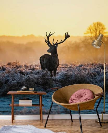 Red Deer Sunrise Wall Mural Wallpaper