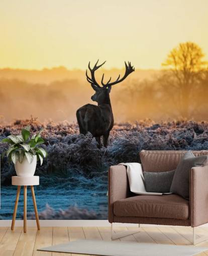 Red Deer Sunrise seinämaalaus Taustakuva