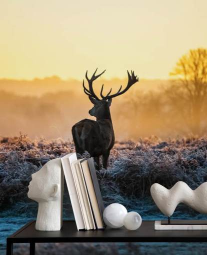 Red Deer Sunrise Wall Mural Wallpaper