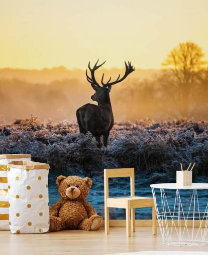 Red Deer Sunrise Muurschildering Behang