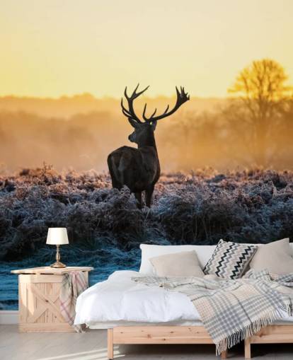 Papel de Parede Mural Red Deer Sunrise Papel de Parede Mural Red Deer Sunrise