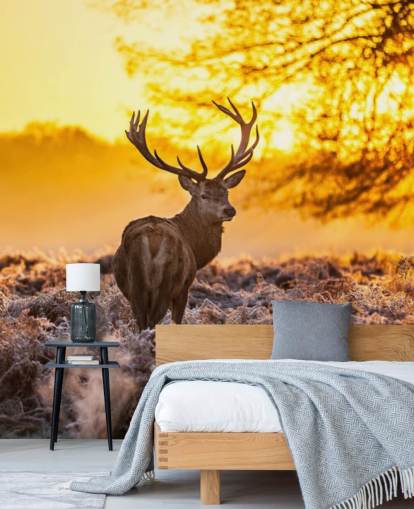 op maat gemaakte hertenbehangmuurschildering genaamd Stunning Red Deer In Morning Sun voor slaapkamers en woonkamers op maat gemaakte hertenbehangmuurschildering genaamd Stunning Red Deer In Morning Sun voor slaapkamers en woonkamers