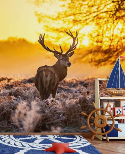 mural personalizado de papel pintado de ciervo llamado Stunning Red Deer In Morning Sun para dormitorios y salas de estar