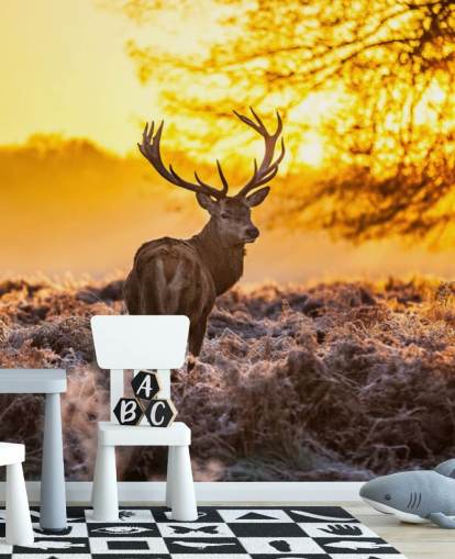 anpassad hjort tapetväggmålning som heter Stunning Red Deer In Morning Sun för sovrum och vardagsrum