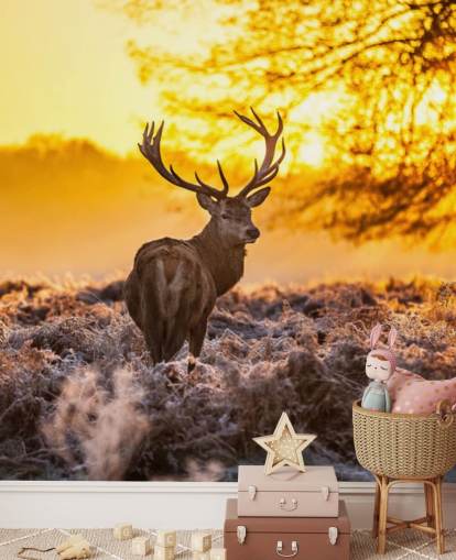 mukautettu hirvitaustakuva seinämaalaus nimeltä Stunning Red Deer In Morning Sun makuuhuoneisiin ja olohuoneisiin