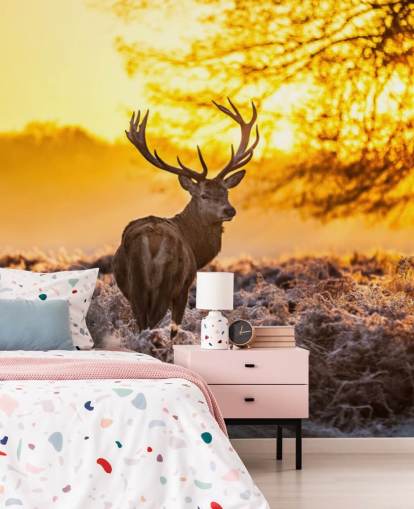 individuelle Hirsch-Tapete mit dem Titel Stunning Red Deer In Morning Sun für Schlafzimmer und Wohnzimmer