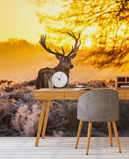 brugerdefineret hjort tapetmaleri kaldet Stunning Red Deer In Morning Sun til soveværelser og stuer brugerdefineret hjort tapetmaleri kaldet Stunning Red Deer In Morning Sun til soveværelser og stuer