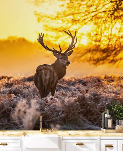 individuelle Hirsch-Tapete mit dem Titel Stunning Red Deer In Morning Sun für Schlafzimmer und Wohnzimmer