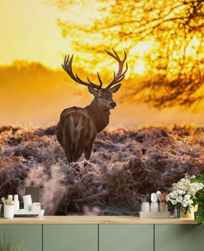 carta da parati murale personalizzata con cervi chiamata Stunning Red Deer In Morning Sun per camere da letto e salotti