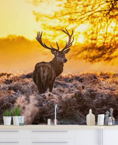 brugerdefineret hjort tapetmaleri kaldet Stunning Red Deer In Morning Sun til soveværelser og stuer