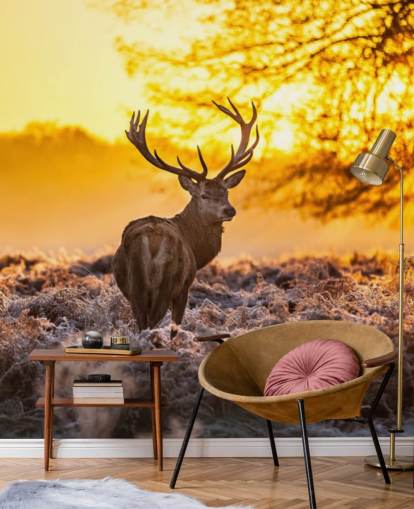 papier peint mural personnalisé en forme de cerf appelé Stunning Red Deer In Morning Sun pour les chambres et les salons