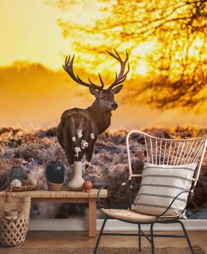 anpassad hjort tapetväggmålning som heter Stunning Red Deer In Morning Sun för sovrum och vardagsrum