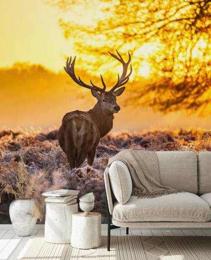 tilpasset hjort tapetmaleri kalt Stunning Red Deer In Morning Sun for soverom og stuer