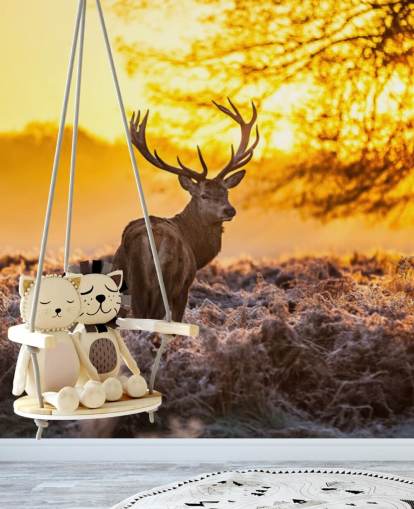 papier peint mural personnalisé en forme de cerf appelé Stunning Red Deer In Morning Sun pour les chambres et les salons
