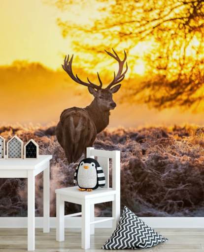 carta da parati murale personalizzata con cervi chiamata Stunning Red Deer In Morning Sun per camere da letto e salotti