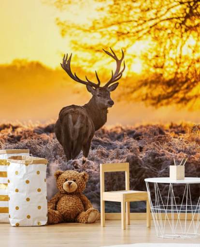 op maat gemaakte hertenbehangmuurschildering genaamd Stunning Red Deer In Morning Sun voor slaapkamers en woonkamers