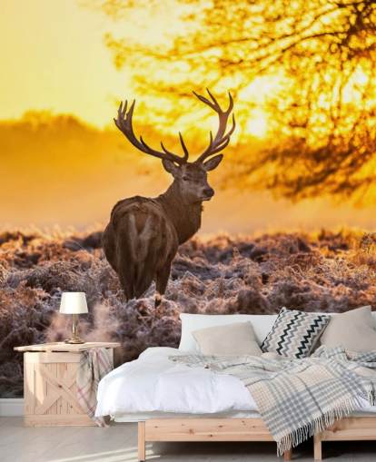 papier peint mural personnalisé en forme de cerf appelé Stunning Red Deer In Morning Sun pour les chambres et les salons