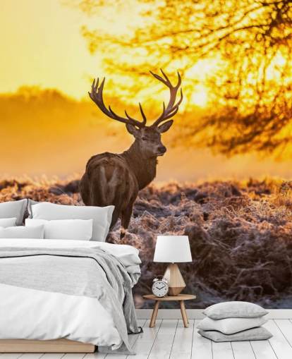 mural personalizado de papel pintado de ciervo llamado Stunning Red Deer In Morning Sun para dormitorios y salas de estar