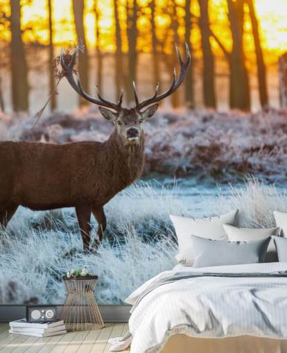 Stag Wallpaper Stag Wallpaper