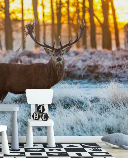 Stag Wallpaper Stag Wallpaper