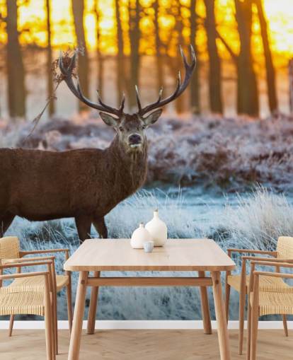Stag Hintergrundbild