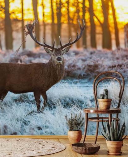 Stag Hintergrundbild Stag Hintergrundbild