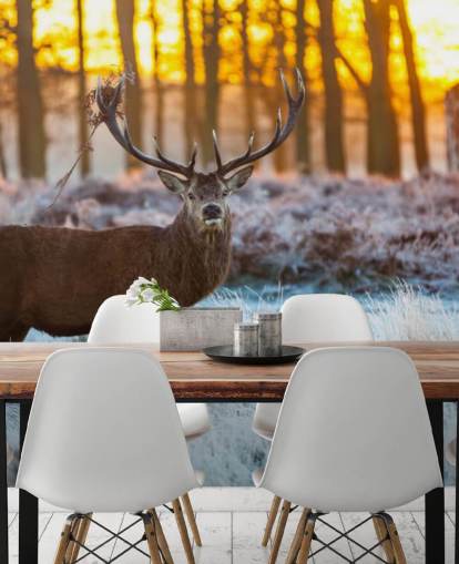 Stag Wallpaper
