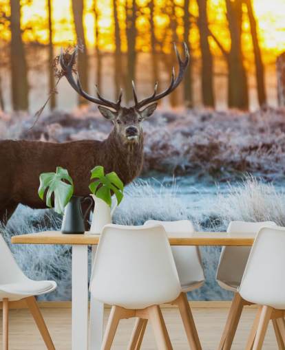 Stag Wallpaper