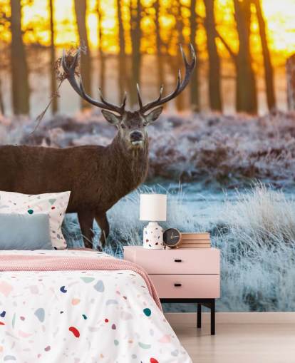 Stag Bakgrund Stag Bakgrund