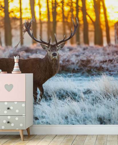 Stag Hintergrundbild Stag Hintergrundbild