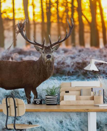 Stag Taustakuva Stag Taustakuva