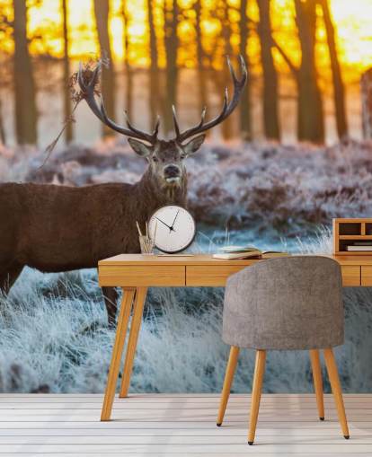 Papel pintado de ciervo