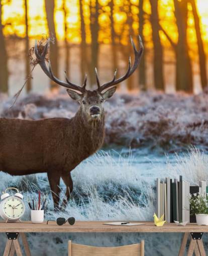 Stag Taustakuva Stag Taustakuva