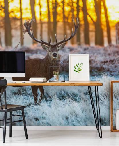 Stag Wallpaper Stag Wallpaper