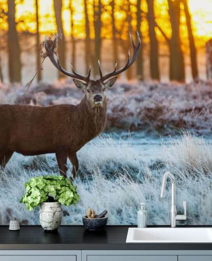 Stag Wallpaper Stag Wallpaper