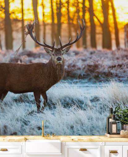 Stag Wallpaper Stag Wallpaper