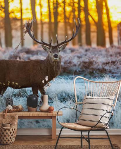 Stag Taustakuva Stag Taustakuva