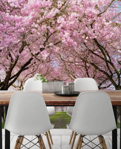 pink customizable cherry blossom wallpaper called Cherry Blossom Trees for bedrooms