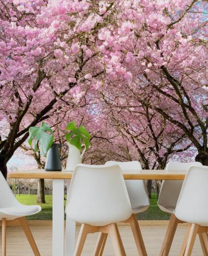 papel pintado rosa personalizable de cerezos en flor llamado Cherry Blossom Trees para dormitorios