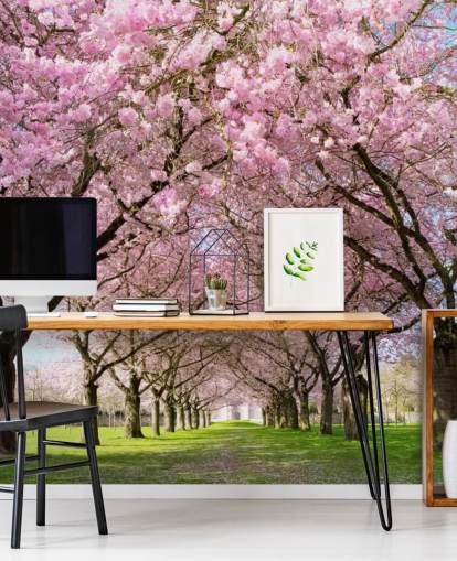 papier peint rose personnalisable en fleurs de cerisier appelé Cherry Blossom Trees pour chambres