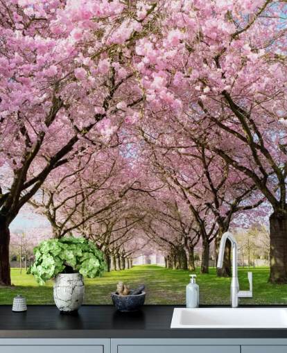 pink customizable cherry blossom wallpaper called Cherry Blossom Trees for bedrooms