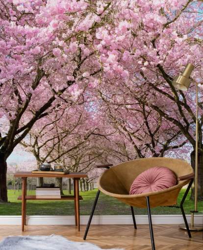 carta da parati rosa personalizzabile con fiori di ciliegio chiamata Cherry Blossom Trees per camere da letto